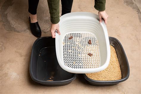 sifting pan for litter box